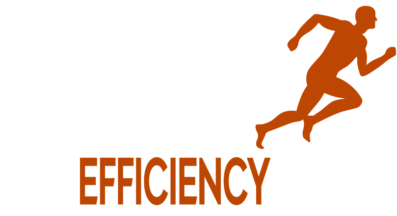 The Efficiency Group LLC